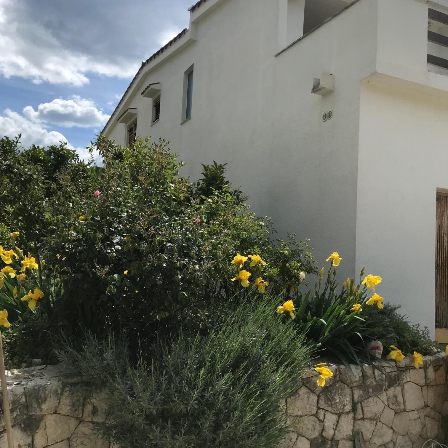 Six Bedroom Holiday Home Matea Ploce  Exterior foto